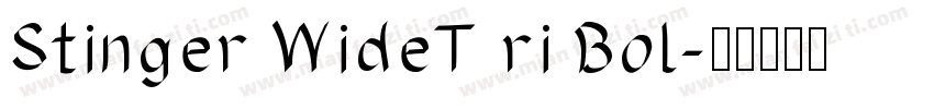 Stinger WideT ri Bol字体转换
